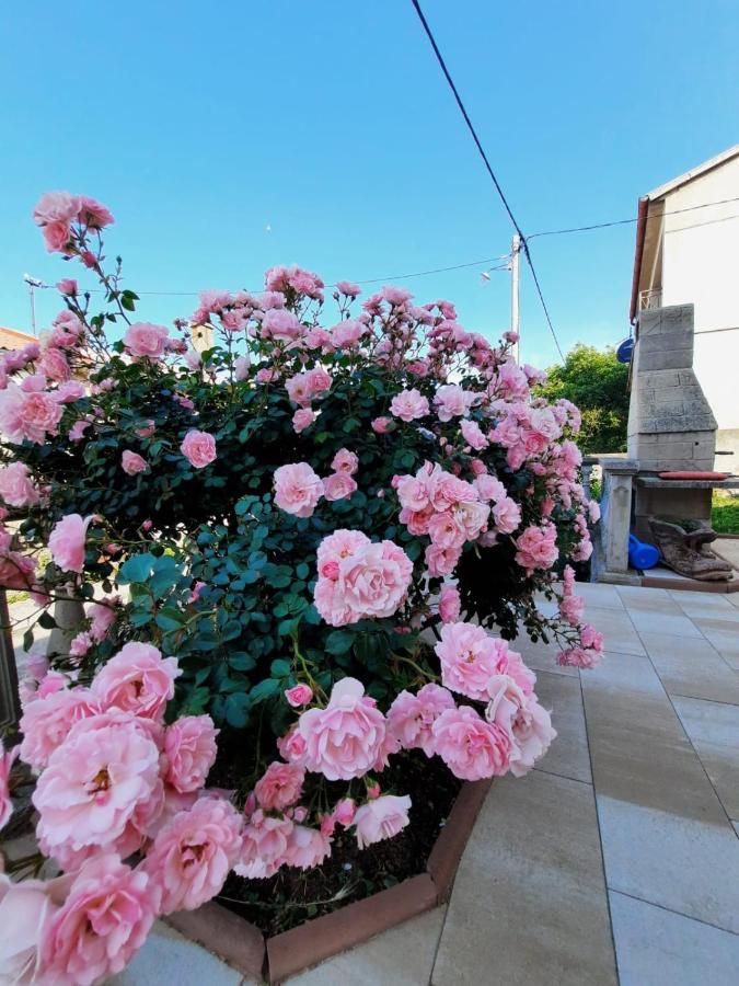 Lana 1 Hotel Senj  Exterior photo